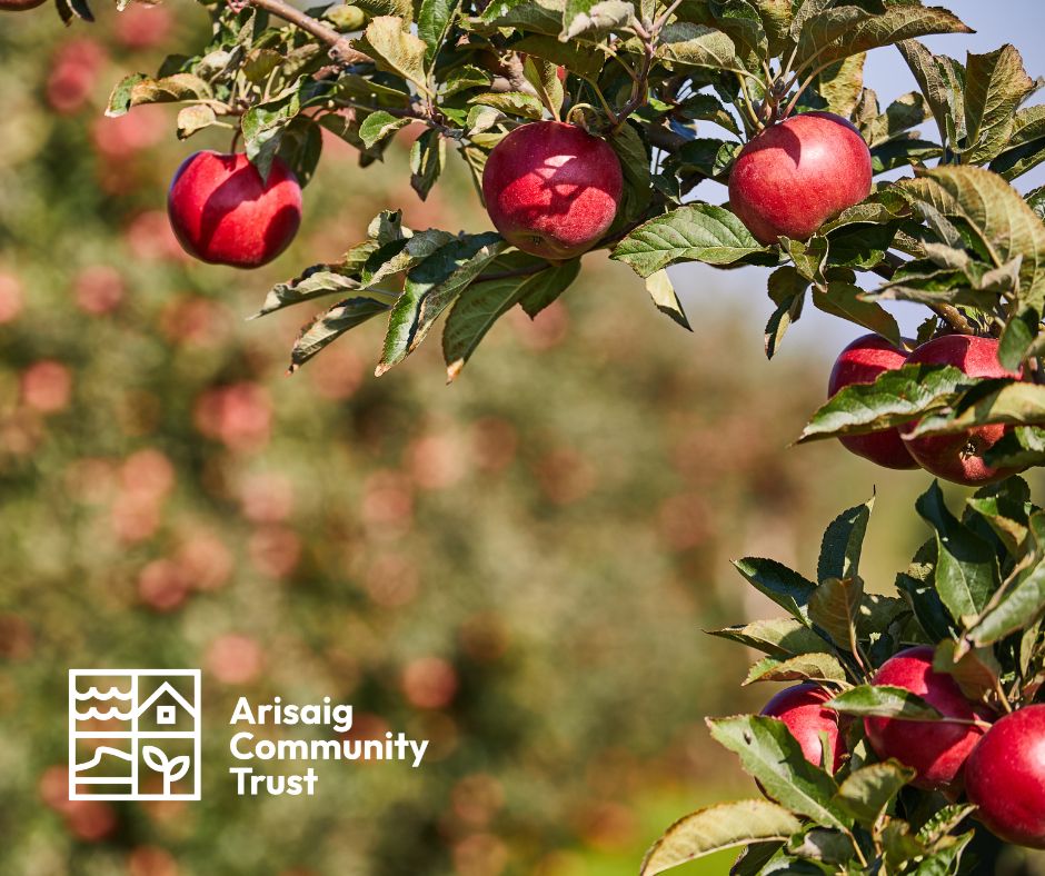 Red apples on a tree in an orchard, overlaid with ACT logo